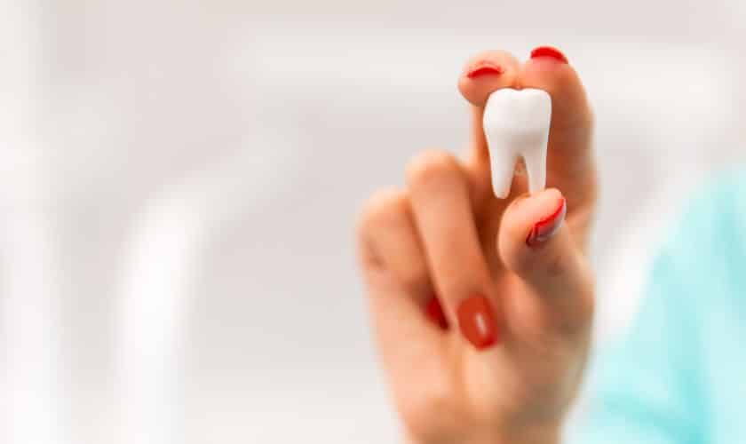 Wisdom Teeth: The Molars That Think They Know Everything!